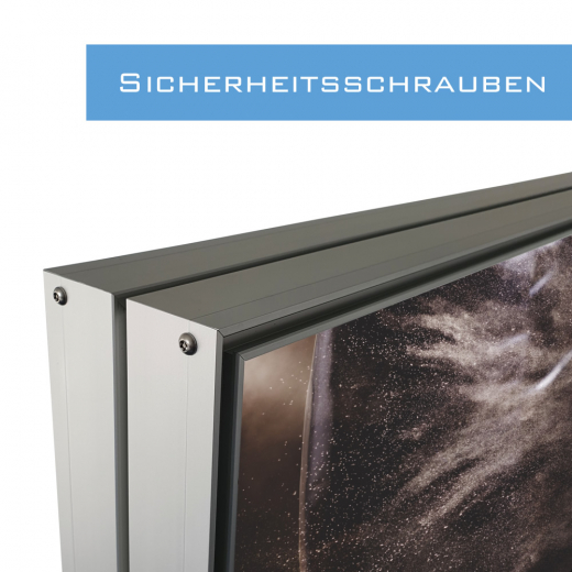 Monitor Schutzgehäuse mit Vandalismusschutz BIG