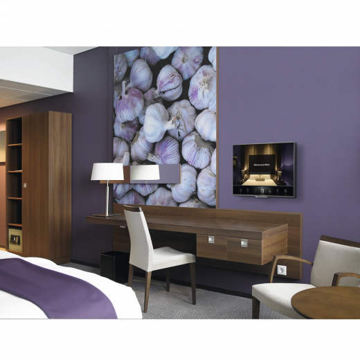 MM-PFW 4210 Wandhalter mit Diebstahlschutz für 10-43 Zoll