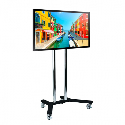 Samsung Outdoor Monitor 55 Zoll mit Rollwagen Mietgerät