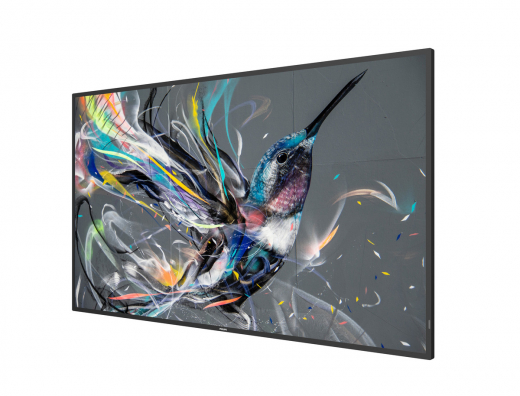 Philips 55BDL3510Q/00 Full HD Display 55 Zoll (138,68 cm)