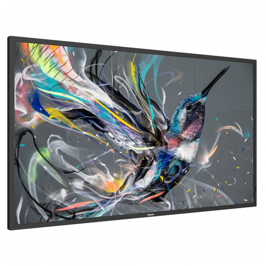 Philips 43BDL3550Q UHD Display 43 Zoll (108 cm)