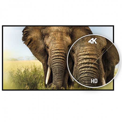 iiyama ProLite LH4342UHS-B3 Digital Signage Display 43 Zoll