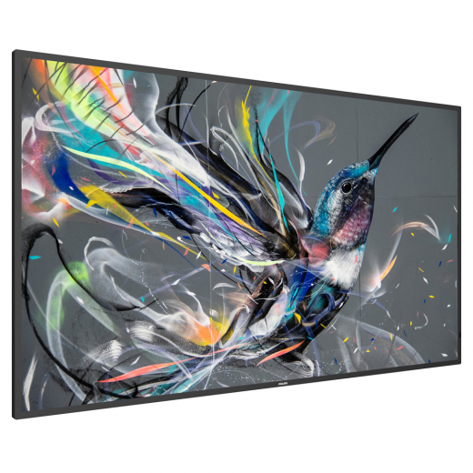 Philips Q-Line 55BDL3511Q Monitor 55Â Zoll mit integriertem Mediaplayer