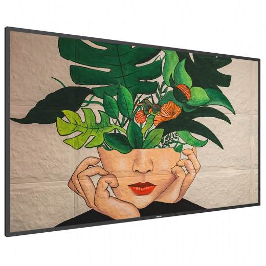 Philips 55BDL4511D Public Info Display 55 Zoll