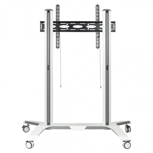 Universeller Rollwagen BT8564 für Display ab 65 Zoll