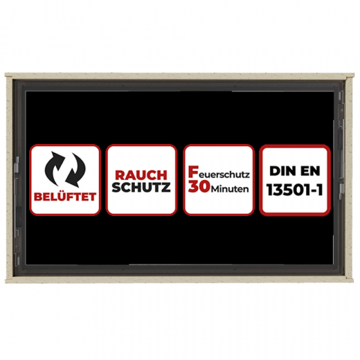 Belueftetes F30 Brandschutzgehaeuse 19-98 Zoll