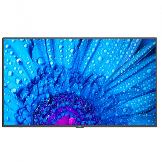 NEC MultiSync M651 Large Format Display 65 Zoll