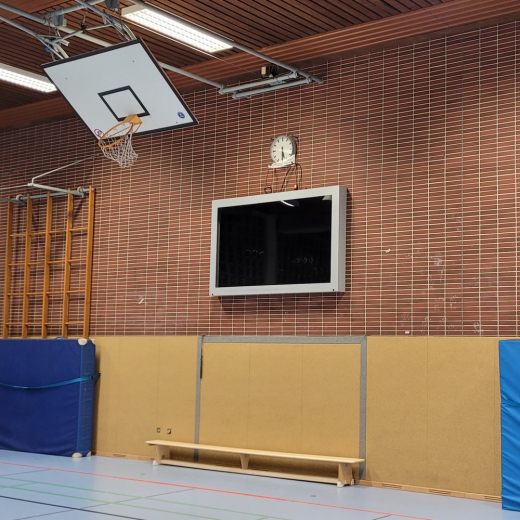 Monitor Schutzgehaeuse mit Vandalismusschutz BIG ab 65 Zoll