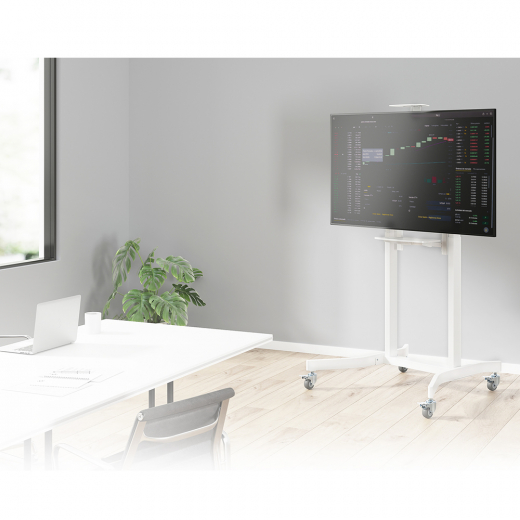 Motorisierter Standfuss fuer Flachbildschirme 55Zoll - 100Zoll