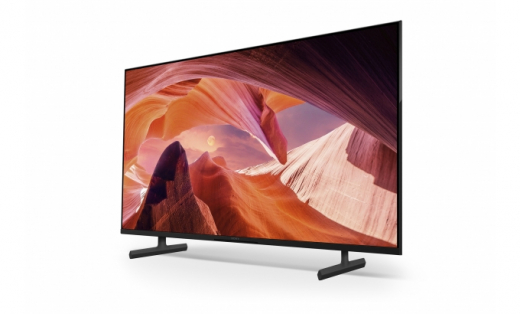 Sony FWD-50X80L Fernseher 127 cm (50Zoll) 4K Ultra HD Smart-TV WLAN Schwarz