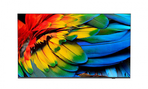 Philips 65HFL6214U/12 Fernseher 165,1 cm (65Zoll) 4K Ultra HD WLAN Anthrazit 400 cd/qm