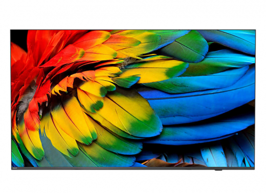 Philips 75HFL6214U 190,5 cm (75Zoll) 4K Ultra HD Smart-TV WLAN Anthrazit 400 cd/qm
