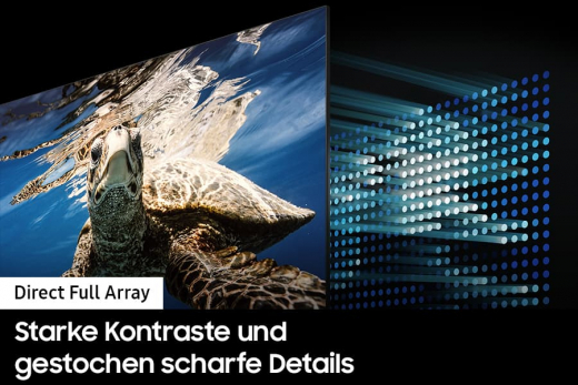 Samsung 55Zoll QLED 4K Q80C (2023)