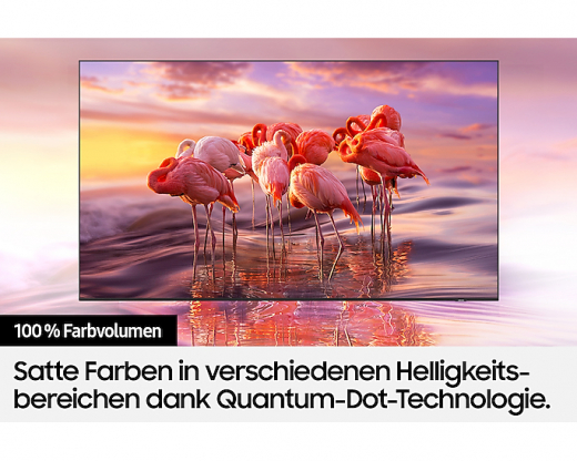 Samsung GQ32Q50AEU 81,3 cm (32Zoll) Full HD Smart-TV WLAN Schwarz