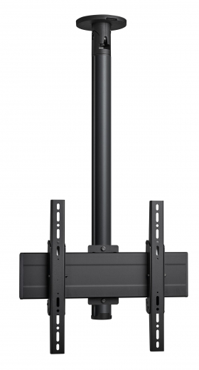 CT242244B Bildschirm Deckenhalterung