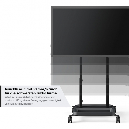 RISE 3205 Trolley mit elektrischem Display Lift