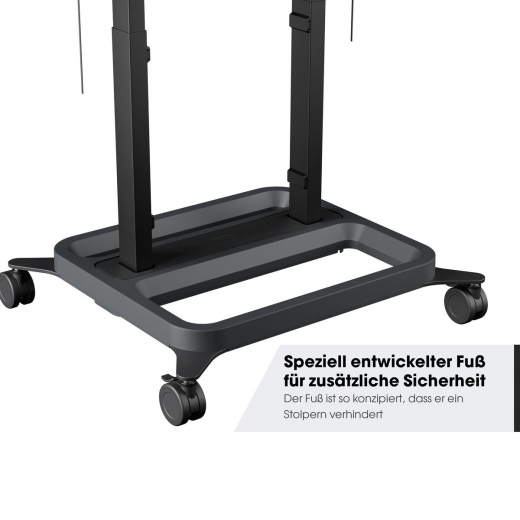 RISE 3205 Trolley mit elektrischem Display Lift
