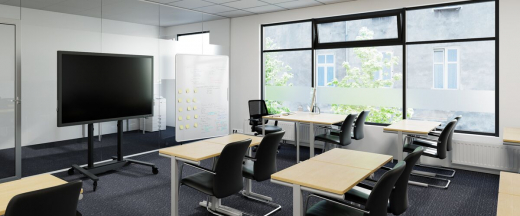 RISE 4208 Motorisierter Display-Hubwagen 80 mm/s 700 mm Hub (Schwarz, EU)