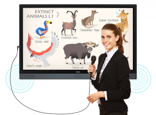 BenQ RP6501K 65 Display, UHD Touch