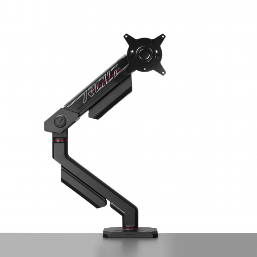 ASUS AAS01R 124,5 cm (49) Tisch/Bank Schwarz