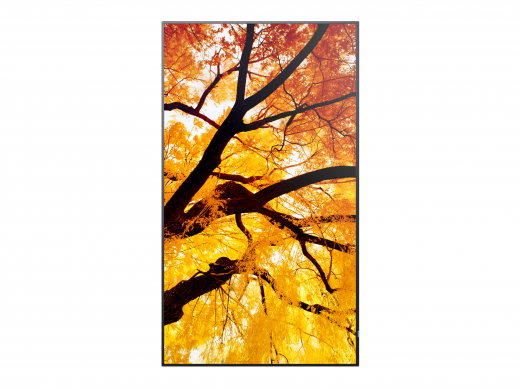 Sharp MultiSync PN-M752 189,2 cm (74.5) LED 550 cd/m² 4K Ultra HD Schwarz 24/7