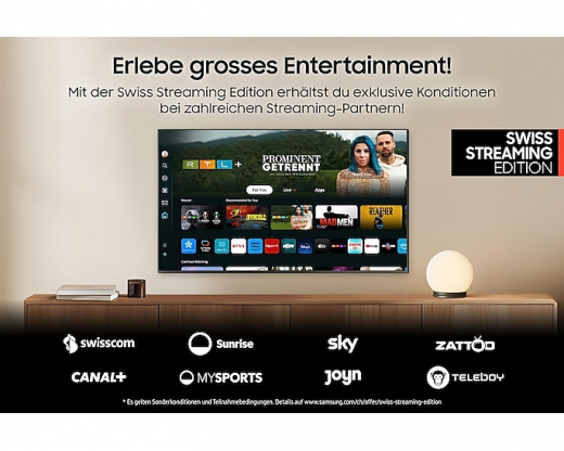 Samsung Q8F QE65Q8FAAU 165,1 cm (65) 4K Ultra HD Smart-TV WLAN Grau, Titan