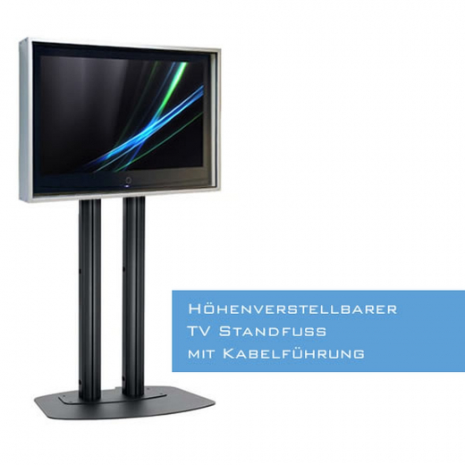Indoor LCD LED Schutzgehaeuse mit F30 Brandschutz und Monitor