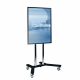 Samsung Outdoor Monitor 55 Zoll mit Rollwagen Mietgeraet