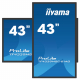iiyama ProLite TF4339MSC-B1AG Touchdisplay 43 Zoll