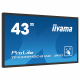 iiyama ProLite TF4339MSC-B1AG Touchdisplay 43 Zoll