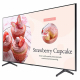 Samsung Business-TV BE65T-H