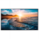 Samsung Smart Signage QH55B 55 Zoll