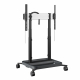 RISE 5305 Trolley mit motorisiertem Display-Lift 50 schwarz