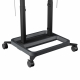 RISE 5305 Trolley mit motorisiertem Display-Lift 50 schwarz