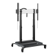 RISE 5205 Trolley mit motorisiertem Display-Lift 50 schwarz