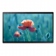 Samsung Smart Signage QB24R-B
