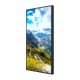 Hisense 75WF25E Schaufenster Display 75 Zoll