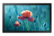 Samsung QB13C 33 cm (13) LCD WLAN 500 cd/m² Full HD Schwarz 16/7