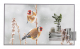 LG 55EW5P-M Signage-Display 139,7 cm (55) OLED 600 cd/m² Full HD Silber Touchscreen 18/7