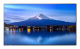 Sharp MultiSync P556 Kiosk-Design 139,7 cm (55) LCD 700 cd/m² 4K Ultra HD Schwarz Eingebauter Prozessor