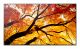 Sharp MultiSync PN-M752 189,2 cm (74.5) LED 550 cd/m² 4K Ultra HD Schwarz 24/7