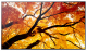 Sharp MultiSync M552 Digital Signage Flachbildschirm 139,7 cm (55) LCD 550 cd/m² 4K Ultra HD Schwarz Touchscreen