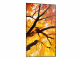 Sharp MultiSync M502 Digital Signage Flachbildschirm 127 cm (50) LCD 550 cd/m² 4K Ultra HD Schwarz 24/7