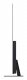 LG OLED evo OLED83C59LA 2,11 m (83) 4K Ultra HD Smart-TV WLAN Schwarz