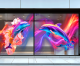 3DH Transparentes LED Display nach Maß