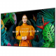 Samsung QB43C - Digital Signage Flachbildschirm - 109,2 cm (43 Zoll) - LCD - 3840 x 2160 Pixel - WLAN - 16/7