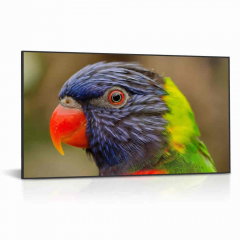 75 Zoll High Brightness Schaufenster Monitor DS751LT4