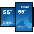 iiyama ProLite T5561UHSC-B1 40 Punkt Touchdisplay 55 Zoll