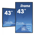 iiyama ProLite LH4370UHB-B1 Digital Signage Display 43 Zoll