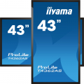 iiyama ProLite T4362AS-B1 43 Zoll UHD Touchdisplay mit integrierter Whiteboard Funktion***